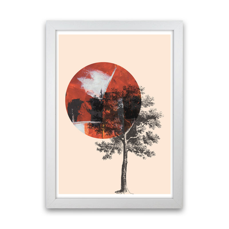 Red Sun And Tree Abstract Modern Print White Grain