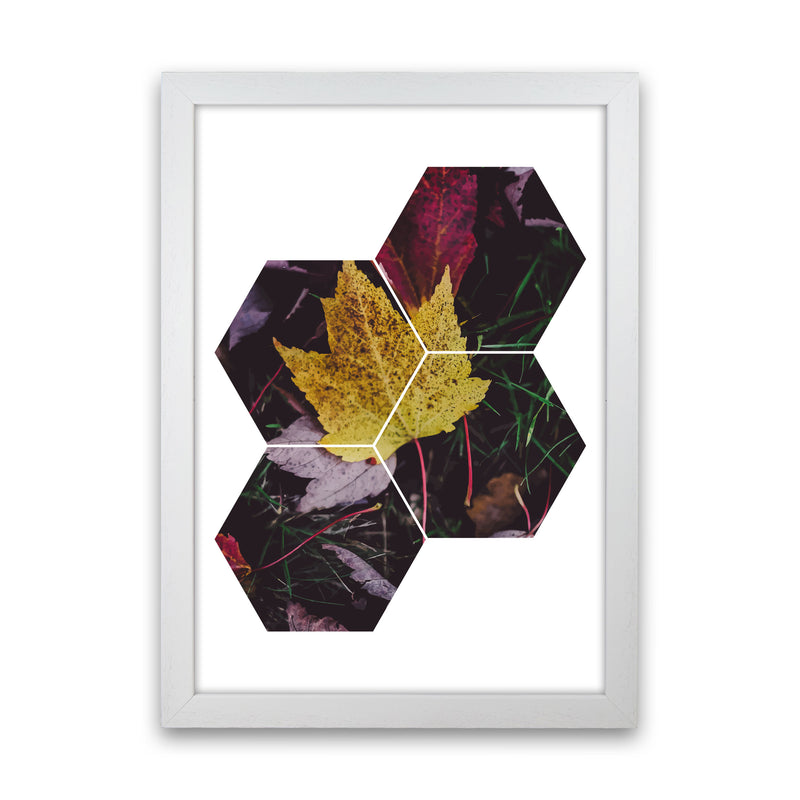Leaf And Grass Abstract Hexagons Modern Print White Grain