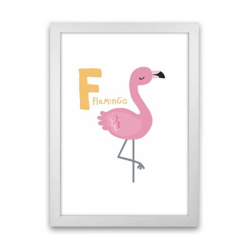 Alphabet Animals, F Is For Flamingo Framed Nursey Wall Art Print White Grain