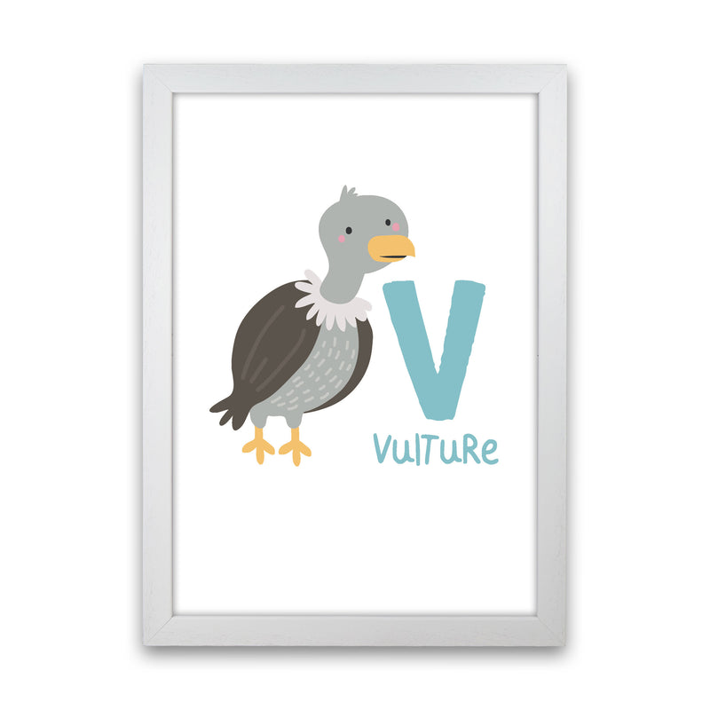 Alphabet Animals, V Is For Vulture Framed Nursey Wall Art Print White Grain