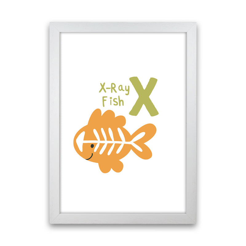 Alphabet Animals, X Is For X-Ray Fish, Nursey Wall Art Poster White Grain