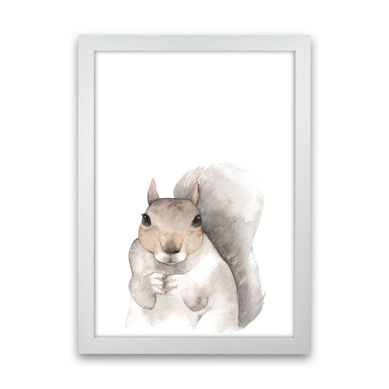 Forest Friends, Cute Squirrel Modern Print Animal Art Print White Grain