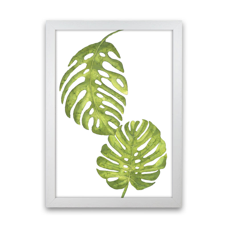 Monstera Leaf Modern Print, Framed Botanical & Nature Art Print White Grain