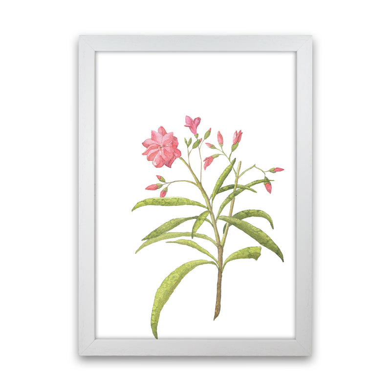 Pink Flower Modern Print, Framed Botanical & Nature Art Print White Grain