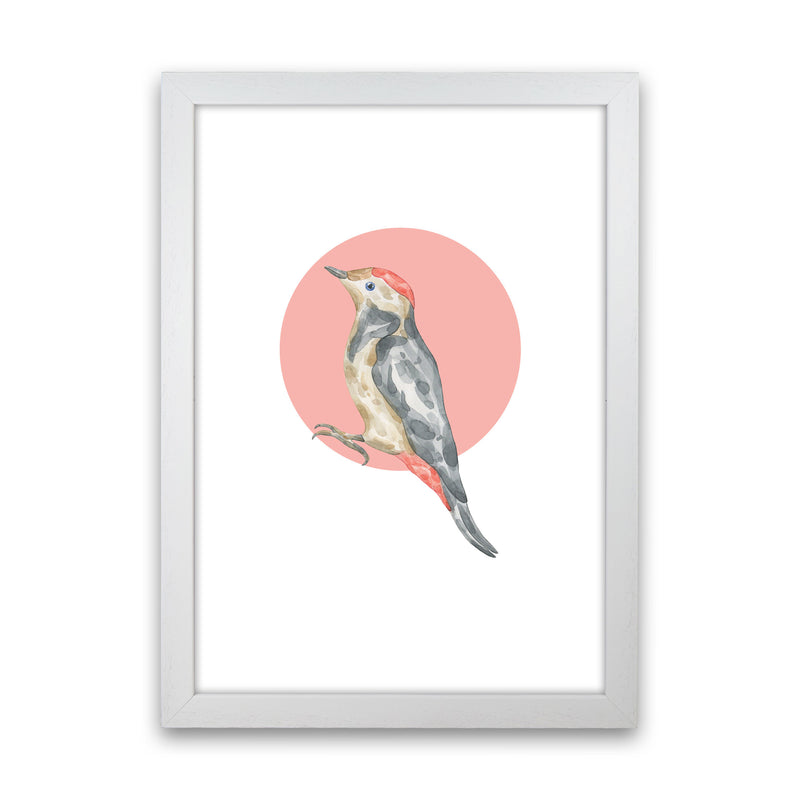 Watercolour Bird With Red Circle Modern Print Animal Art Print White Grain