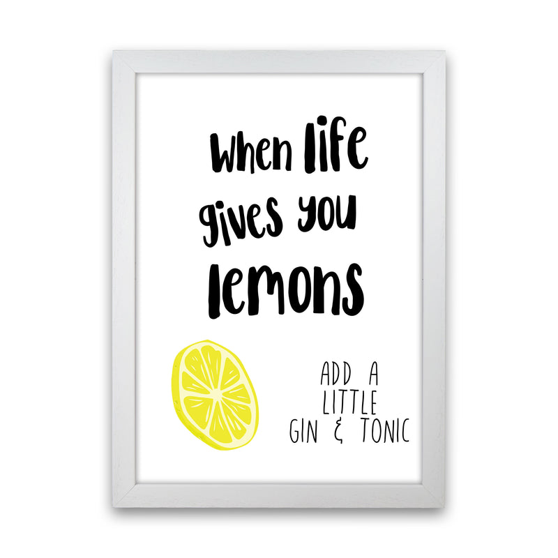 Humorous Gin Sayings Multi Set Kitchen Typography Wall Art White Grain