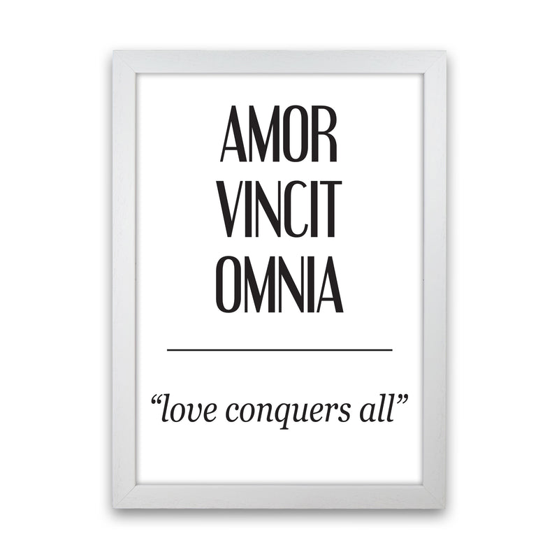 Amor Vincit Omnia Framed Typography Wall Art Print White Grain