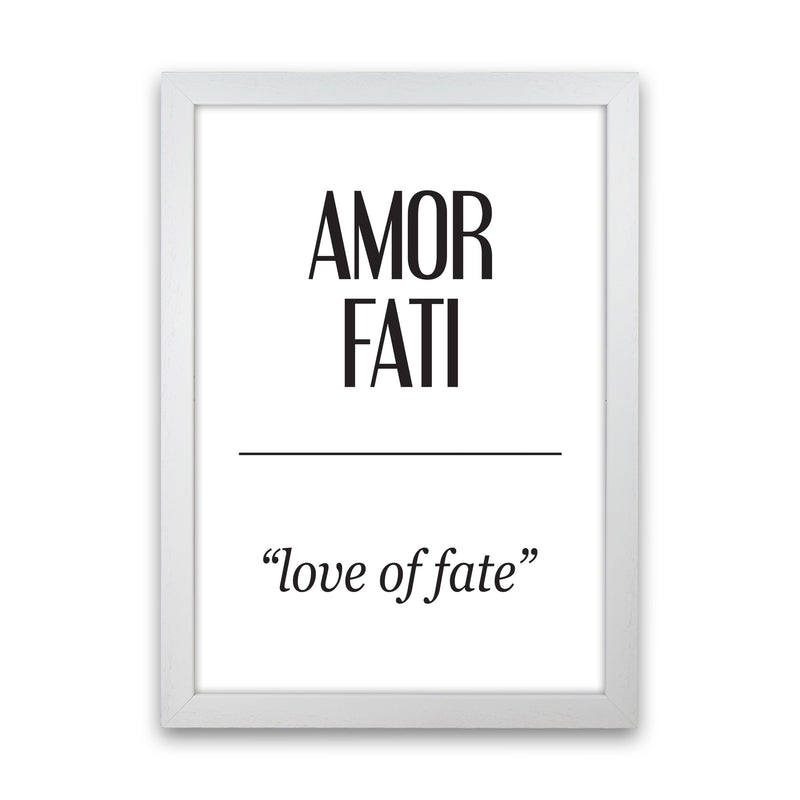 Amor Fati Framed Typography Wall Art Print White Grain