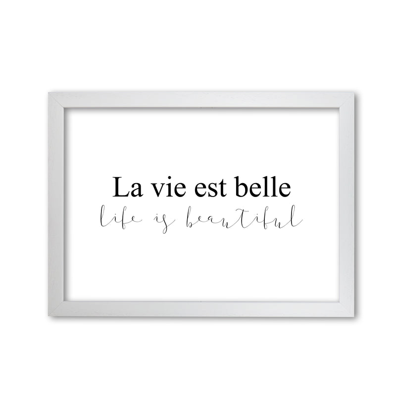 La Vie Est Belle Framed Typography Wall Art Print White Grain