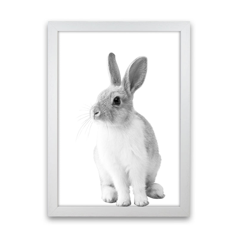 Black And White Bunny Modern Print Animal Art Print White Grain