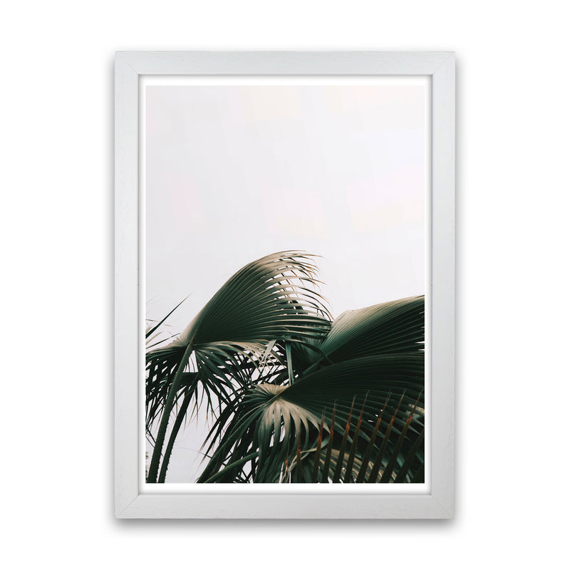 Bushy Palm Leaves Modern Print, Framed Botanical & Nature Art Print White Grain