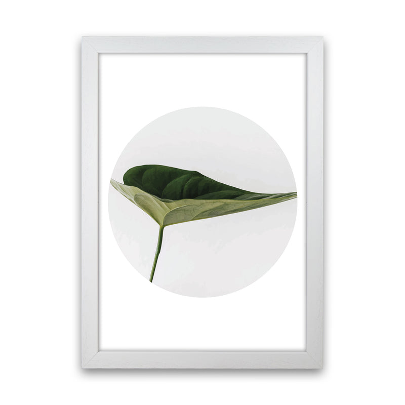 Doc Leaf Modern Print, Framed Botanical & Nature Art Print White Grain