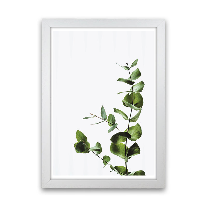 Elegant Green Plant Modern Print, Framed Botanical & Nature Art Print White Grain