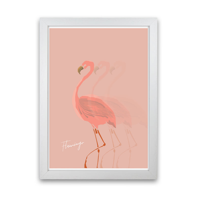 Flamingo Shadow Modern Print Animal Art Print White Grain