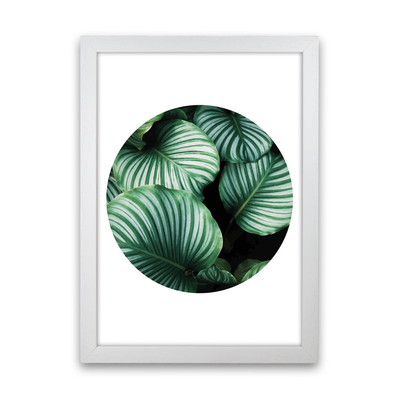 Green Leaves Circle Modern Print, Framed Botanical & Nature Art Print White Grain
