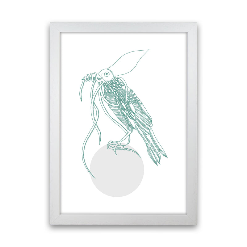 Marine Animals Bird Modern Print Animal Art Print White Grain