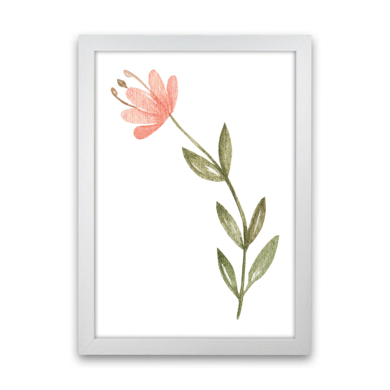 Pink Watercolour Flower 2 Modern Print White Grain