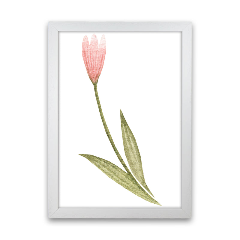 Pink Watercolour Flower 3 Modern Print White Grain