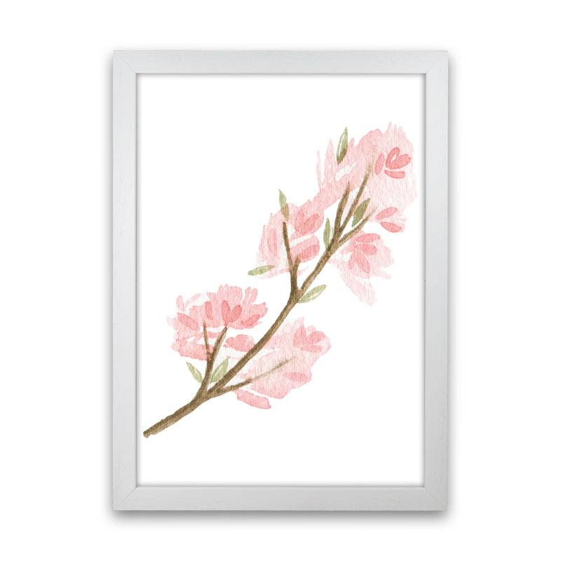 Pink Watercolour Flower 4 Modern Print White Grain