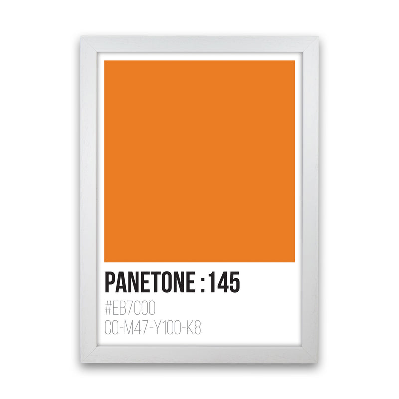Panetone Colours 145 Modern Print White Grain