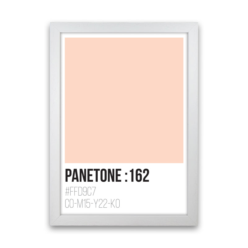 Panetone Colours 162 Modern Print White Grain