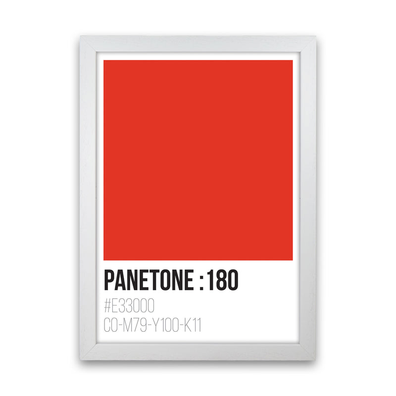 Panetone Colours 180 Modern Print White Grain