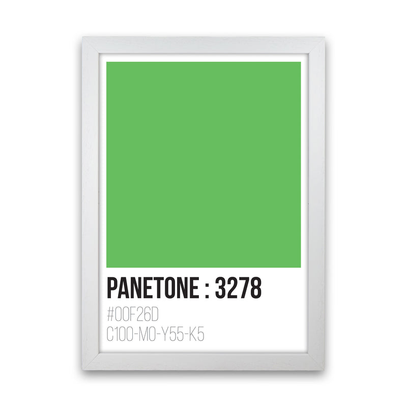 Panetone Colours 3278 Modern Print White Grain