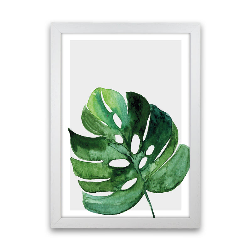Leaf With Grey Back Exotic  Art Print by Pixy Paper White Grain