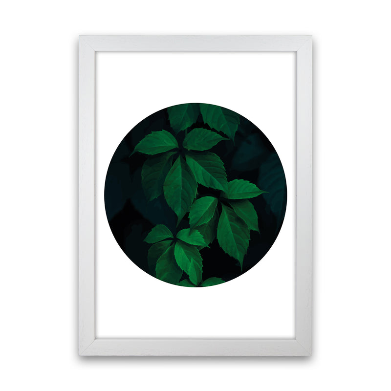 Deep Green Leaf Circle  Art Print by Pixy Paper White Grain