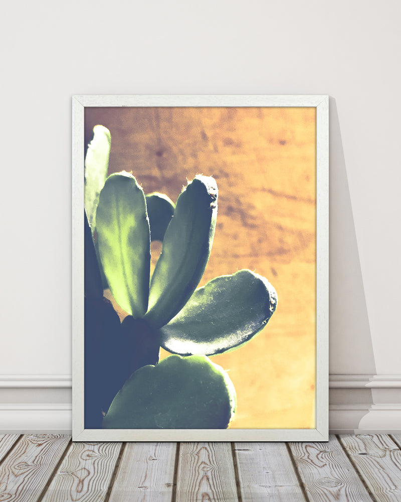 Cactus Photography Art Print by Proper Job Studio
