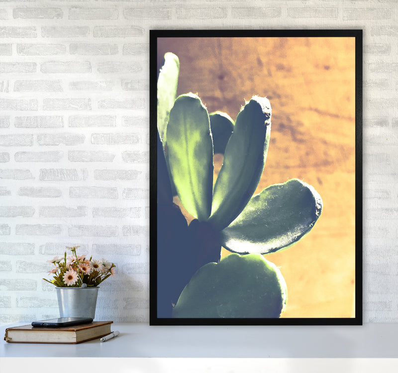 Cactus Photography Art Print by Proper Job Studio A1 White Frame