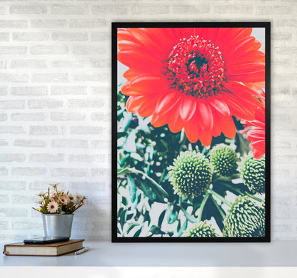 Gerbera Photography Art Print by Proper Job Studio A1 White Frame