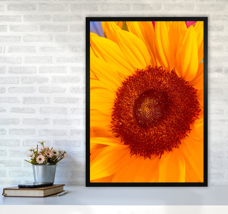 Sunflower Art Print by Proper Job Studio A1 White Frame