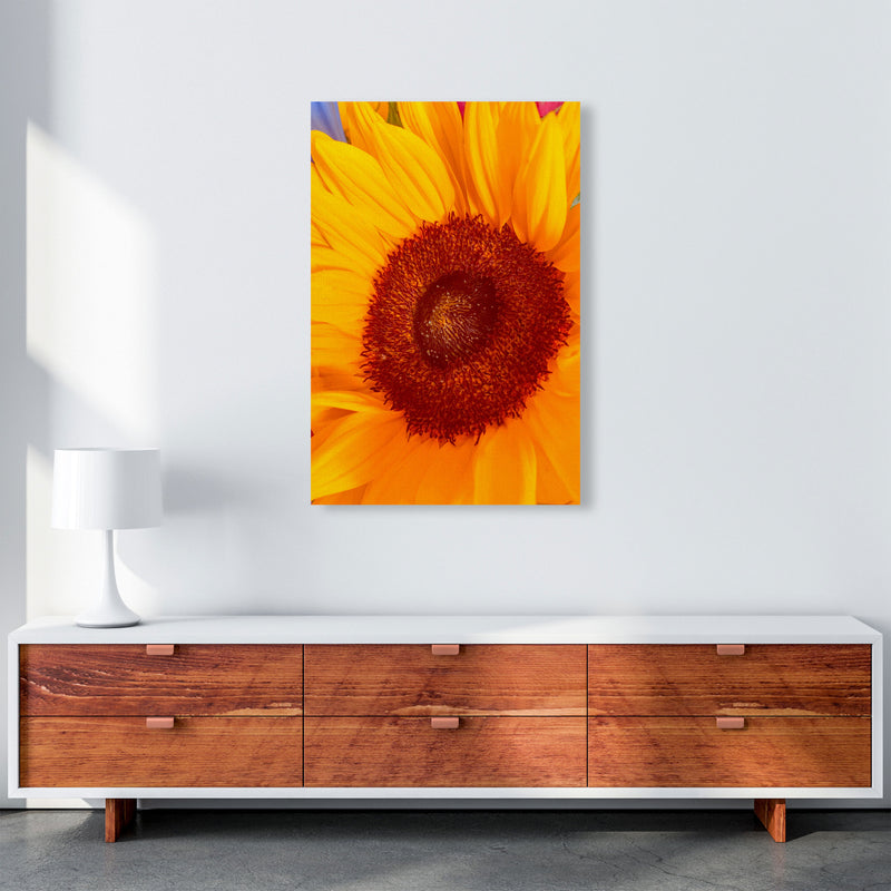 Sunflower Art Print by Proper Job Studio A1 Canvas