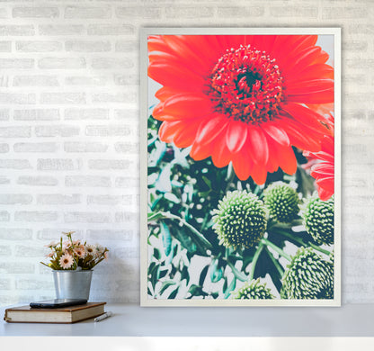 Gerbera Photography Art Print by Proper Job Studio A1 Oak Frame