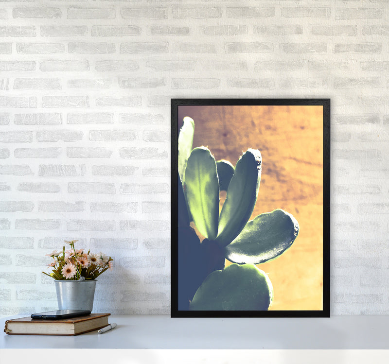 Cactus Photography Art Print by Proper Job Studio A2 White Frame