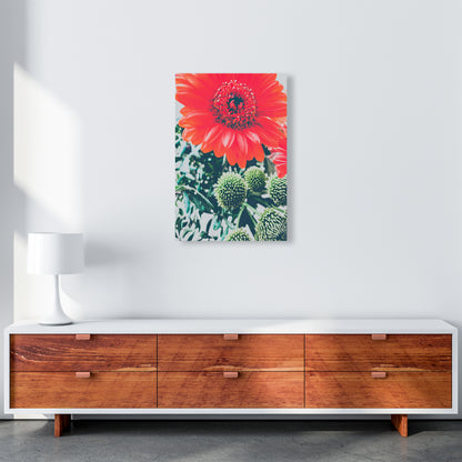 Gerbera Photography Art Print by Proper Job Studio A2 Canvas