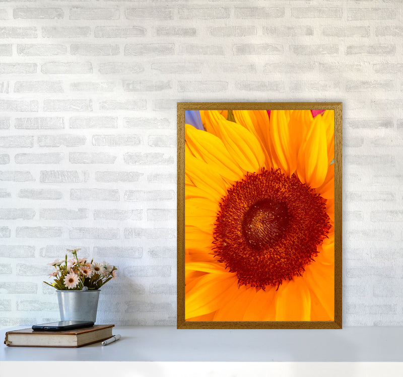 Sunflower Art Print by Proper Job Studio A2 Print Only