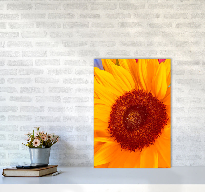 Sunflower Art Print by Proper Job Studio A2 Black Frame