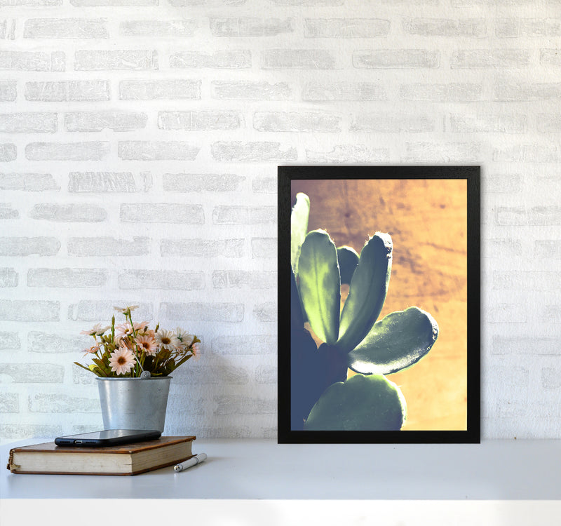 Cactus Photography Art Print by Proper Job Studio A3 White Frame