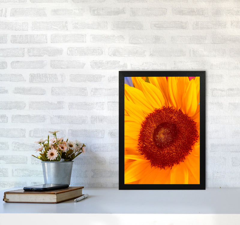 Sunflower Art Print by Proper Job Studio A3 White Frame