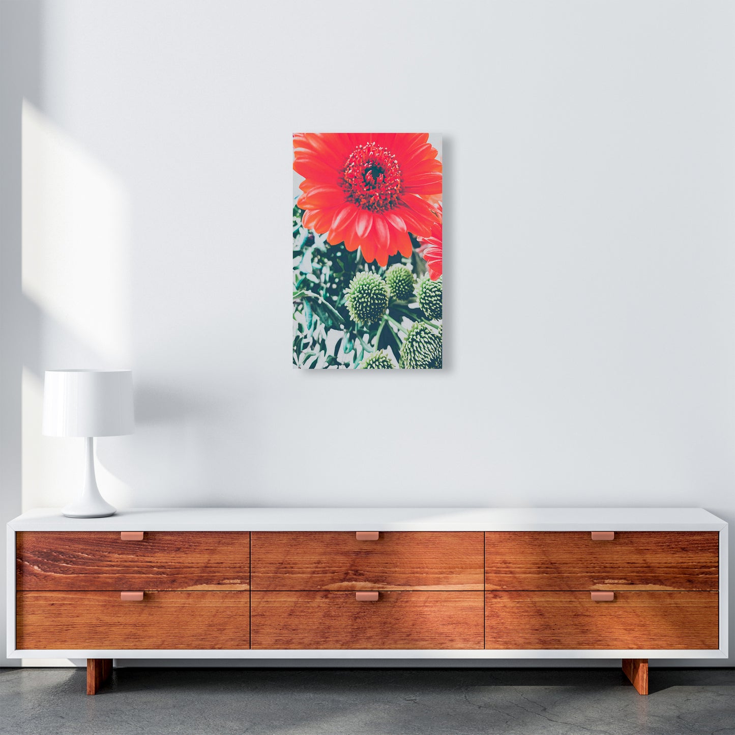 Gerbera Photography Art Print by Proper Job Studio A3 Canvas