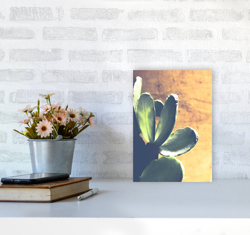 Cactus Photography Art Print by Proper Job Studio A4 Black Frame