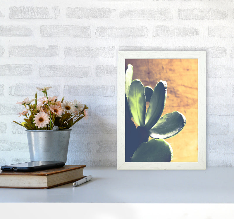 Cactus Photography Art Print by Proper Job Studio A4 Oak Frame