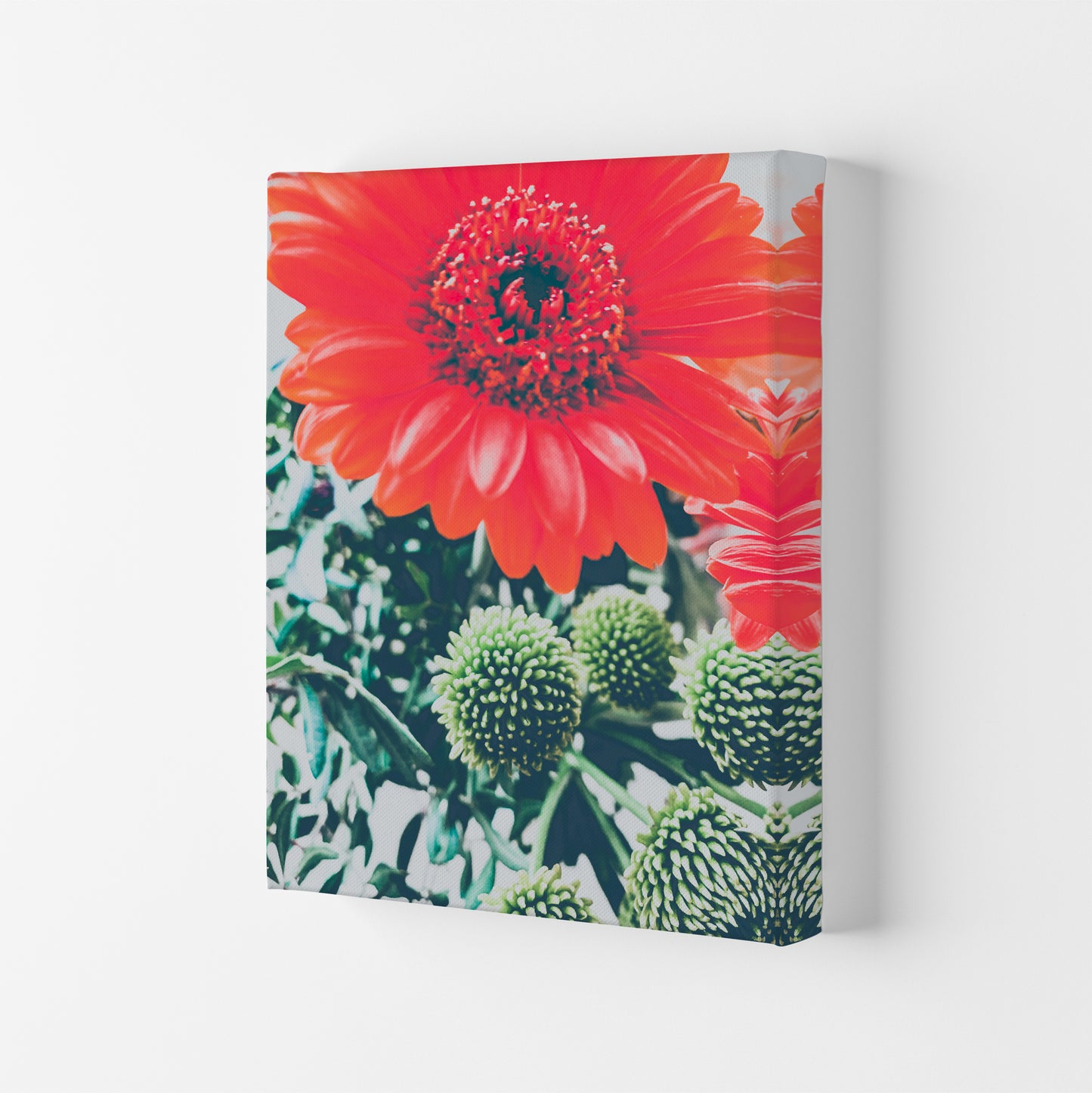 Gerbera Photography Art Print by Proper Job Studio Canvas