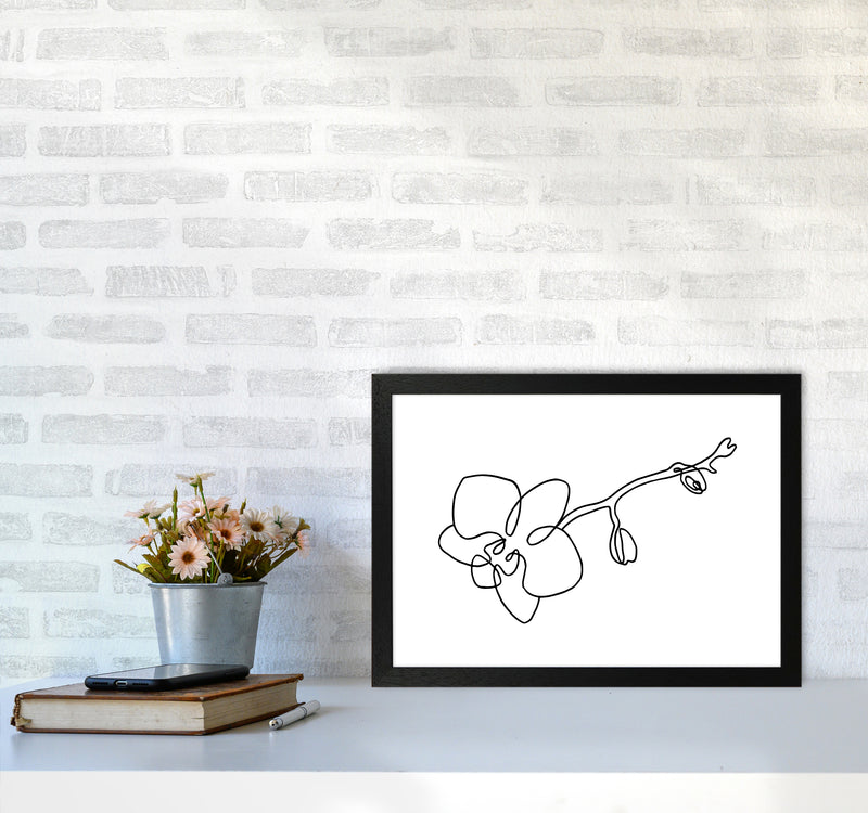 Orchid By Planeta444 A3 White Frame