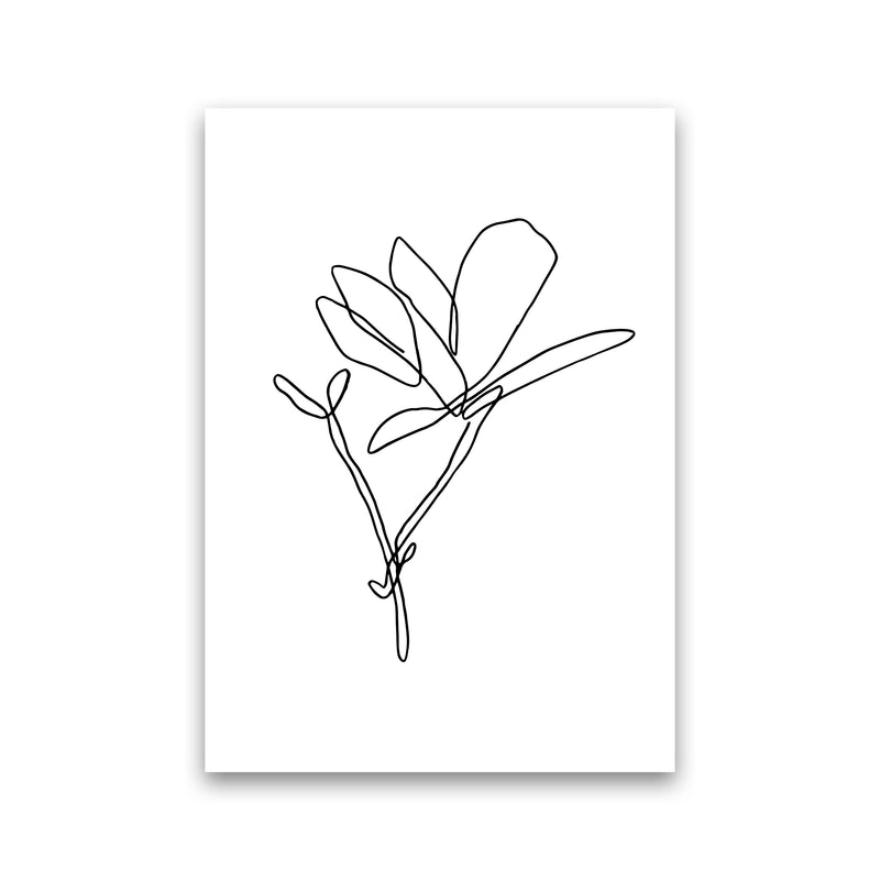 Japanese Magnolia By Planeta444 Print Only