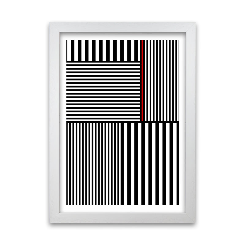 Black and White Stripes with White Grain