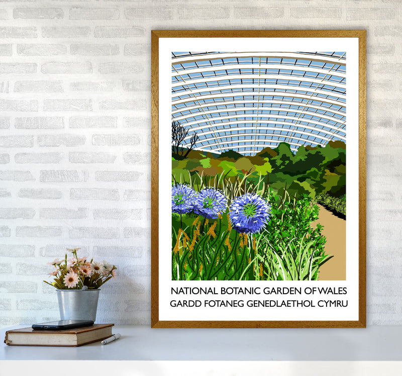 National Botanic Garden Of Wales by Richard O'Neill A1 Print Only