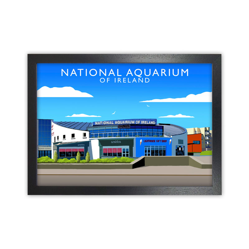 National Aquarium Ireland (Landscape) by Richard O'Neill Black Grain